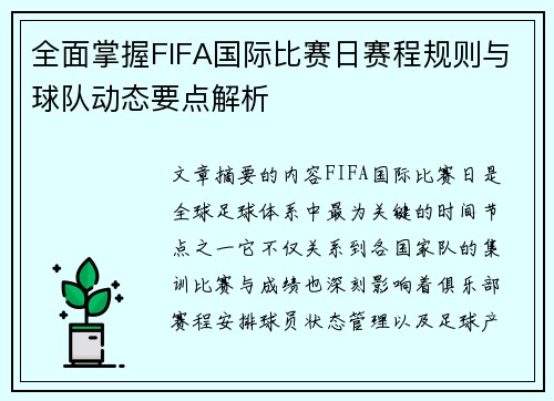 全面掌握FIFA国际比赛日赛程规则与球队动态要点解析